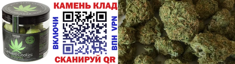 Canna-Cookies марихуана  дарнет шоп  Жуковский 