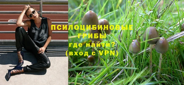 экстази Алексин
